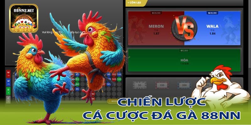 Chiến lược đặt cược hiệu quả trong đá gà 88NN